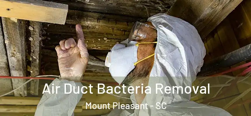  Air Duct Bacteria Removal Mount Pleasant - SC