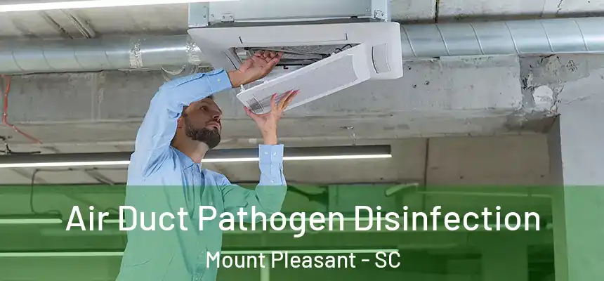  Air Duct Pathogen Disinfection Mount Pleasant - SC