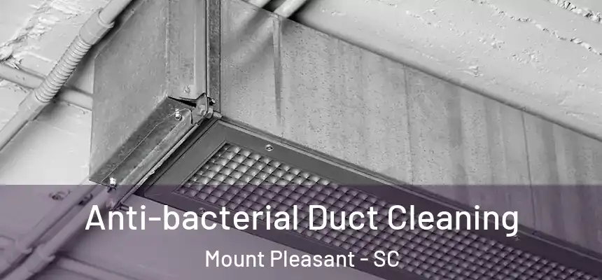  Anti-bacterial Duct Cleaning Mount Pleasant - SC