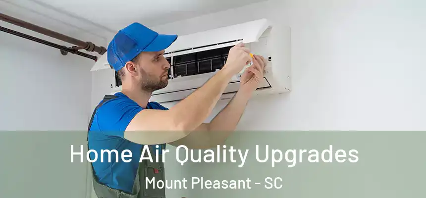  Home Air Quality Upgrades Mount Pleasant - SC