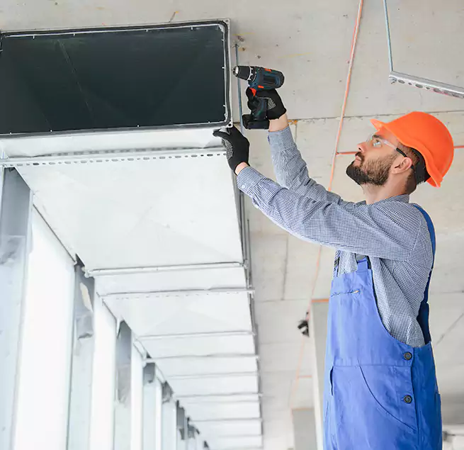 Why Homeowners & Businesses Trust Us in Mount Pleasant, SC