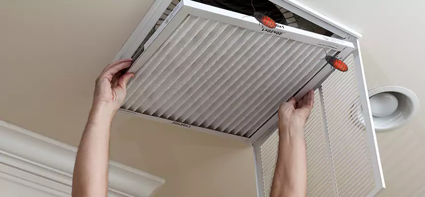 Our Insect Removal from Air Ducts Services in Mount Pleasant, SC