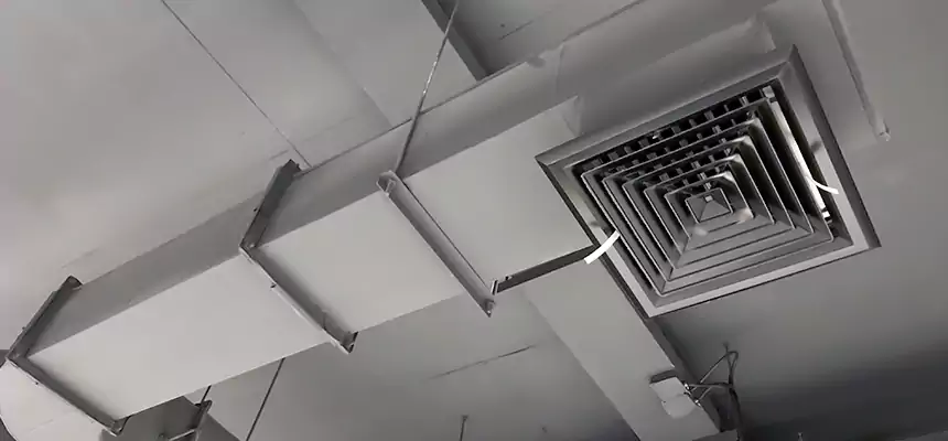 Our Pest Removal From Ducts Services in Mount Pleasant, SC