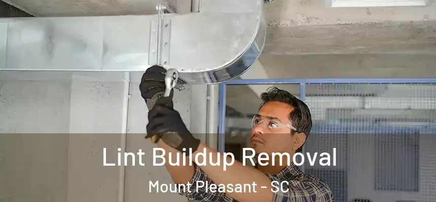  Lint Buildup Removal Mount Pleasant - SC