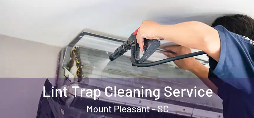  Lint Trap Cleaning Service Mount Pleasant - SC