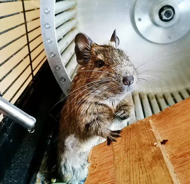 Why Homeowners & Businesses Trust Us Mount Pleasant, SC?