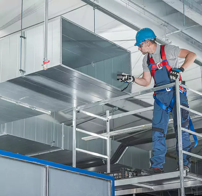 Why Homeowners & Businesses Trust Us in Mount Pleasant, SC?