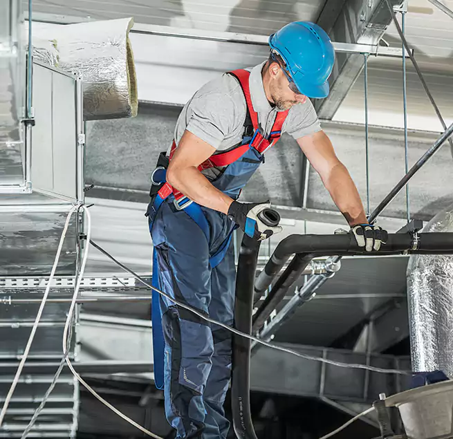 Why Homeowners & Businesses Trust Us in Mount Pleasant, SC?