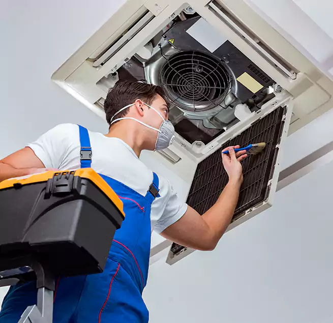 Why Homeowners & Businesses Trust Us in Mount Pleasant, SC