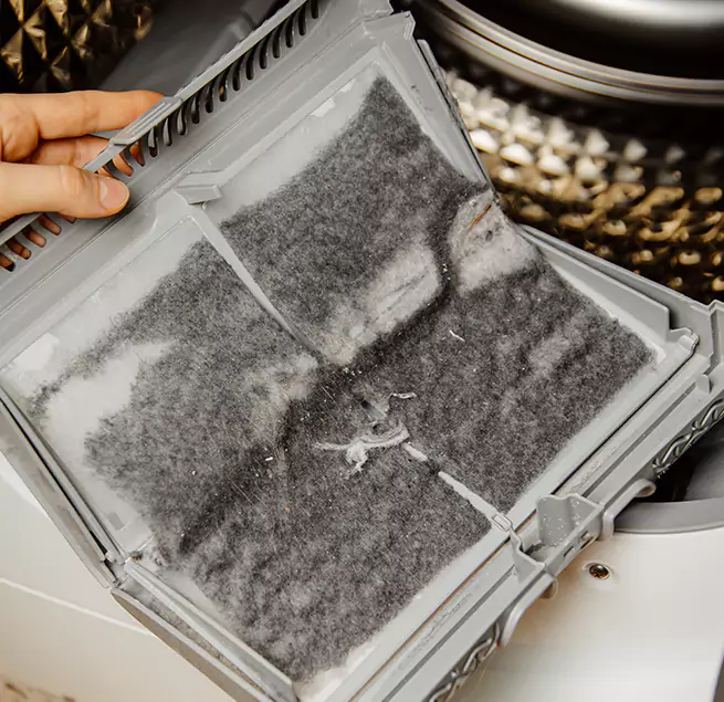  Why Homeowners & Businesses Trust Us Mount Pleasant, SC?