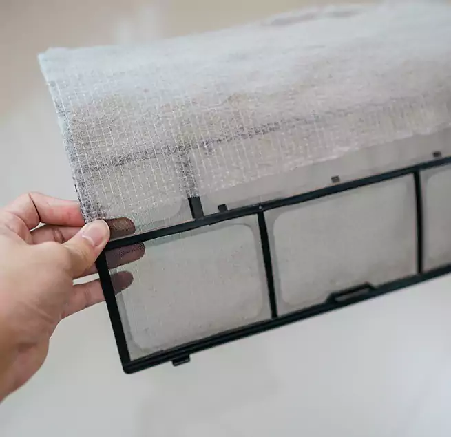 Why Homeowners & Businesses Trust Us in Mount Pleasant, SC?