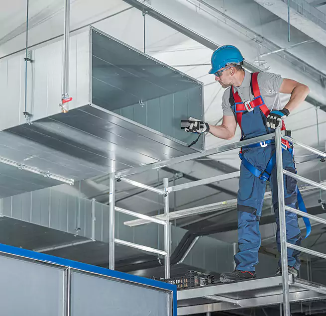 Why Homeowners Businesses Trust Us in Mount Pleasant, SC