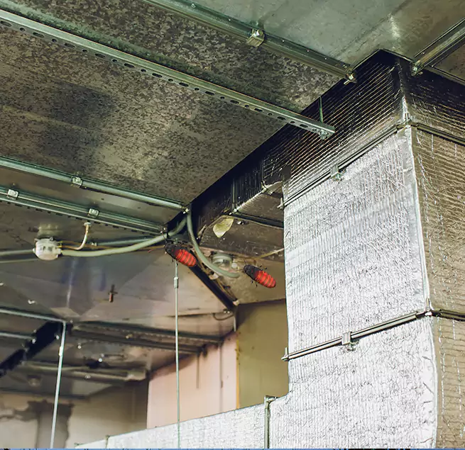 Why Homeowners & Businesses Trust Us Mount Pleasant, SC?