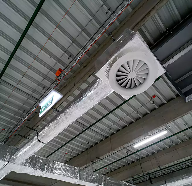 Why Homeowners & Businesses Trust Us in Mount Pleasant, SC?