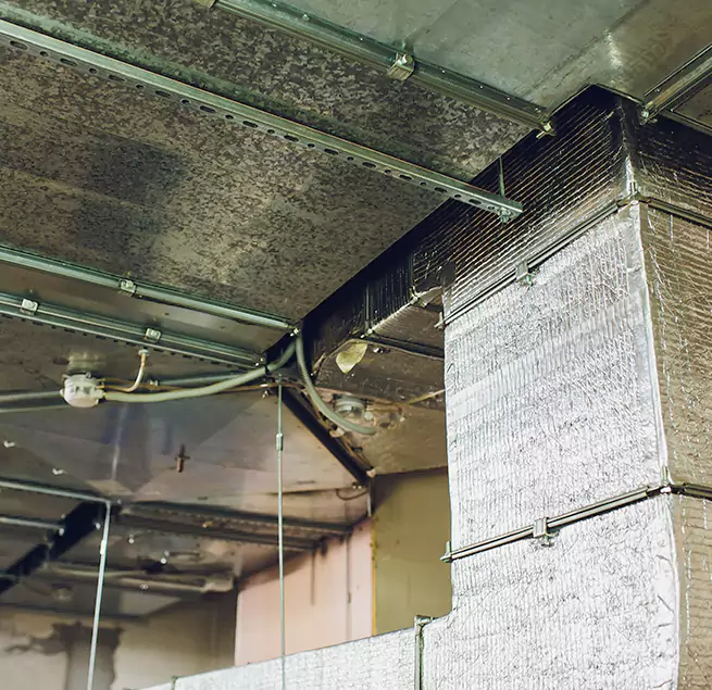 Why Homeowners & Businesses Trust Us in Mount Pleasant, SC?