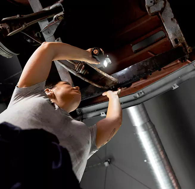 Why Homeowners & Businesses Trust Us Mount Pleasant, SC