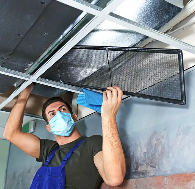 Why Homeowners & Businesses Trust Us in Mount Pleasant, SC?