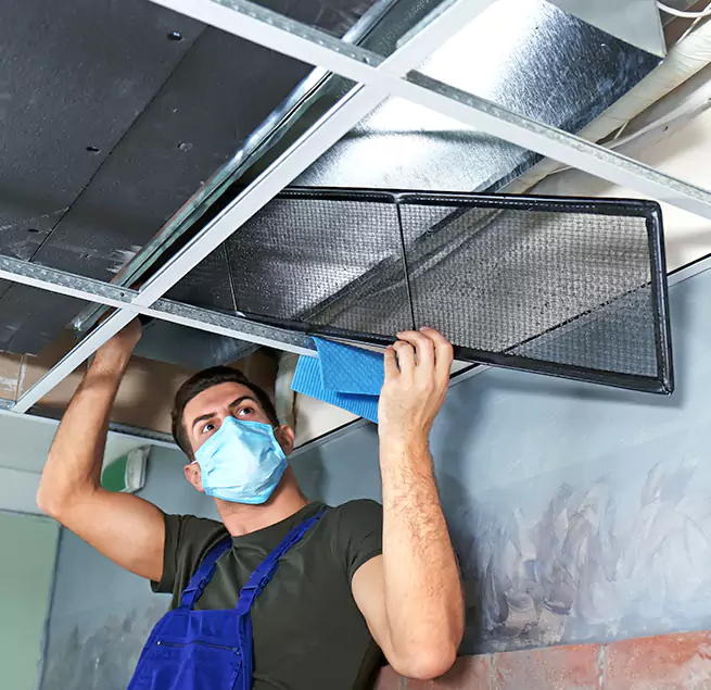 Why Homeowners & Businesses Trust Us in Mount Pleasant, SC?