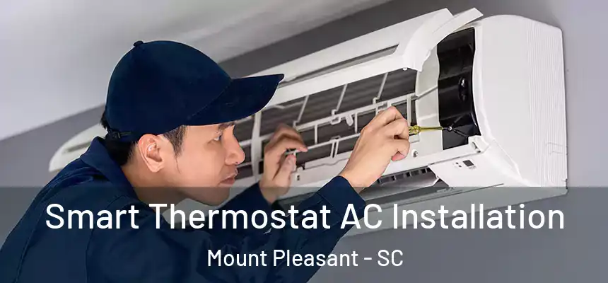  Smart Thermostat AC Installation Mount Pleasant - SC