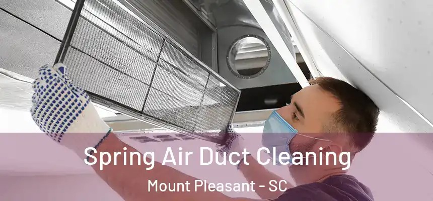  Spring Air Duct Cleaning Mount Pleasant - SC