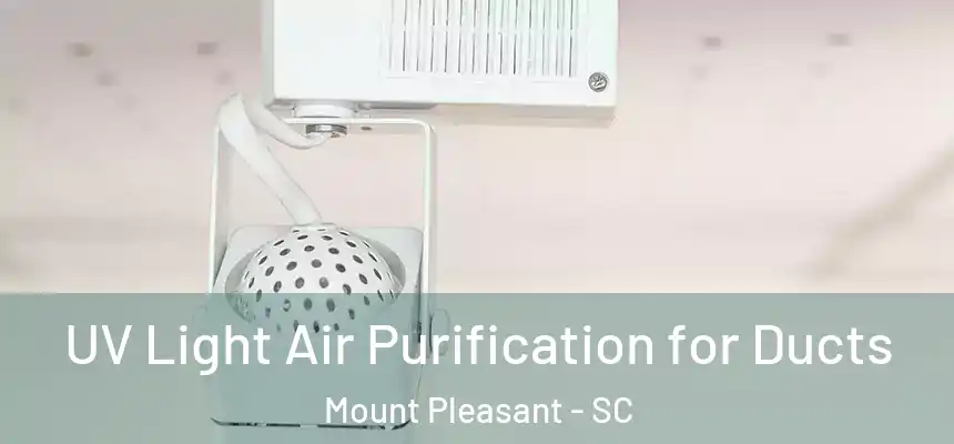  UV Light Air Purification for Ducts Mount Pleasant - SC