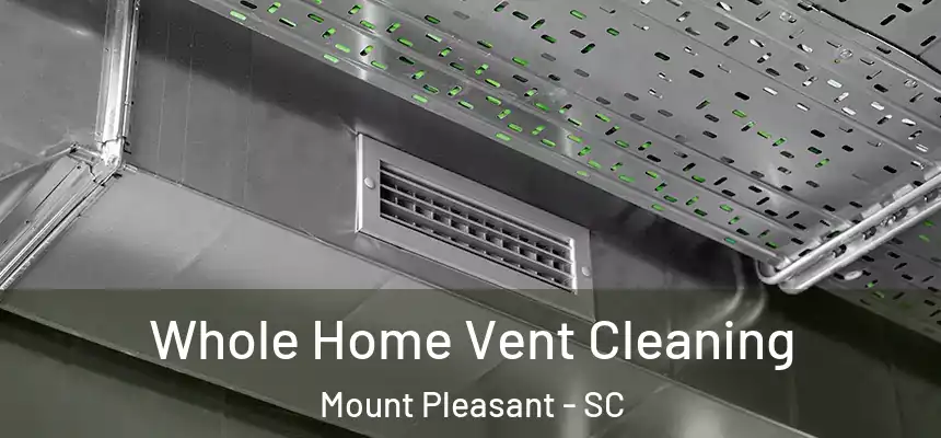  Whole Home Vent Cleaning Mount Pleasant - SC