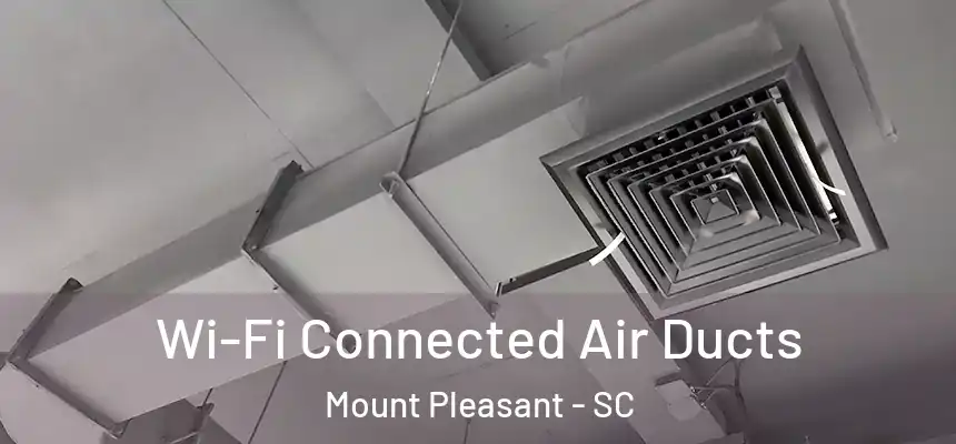  Wi-Fi Connected Air Ducts Mount Pleasant - SC